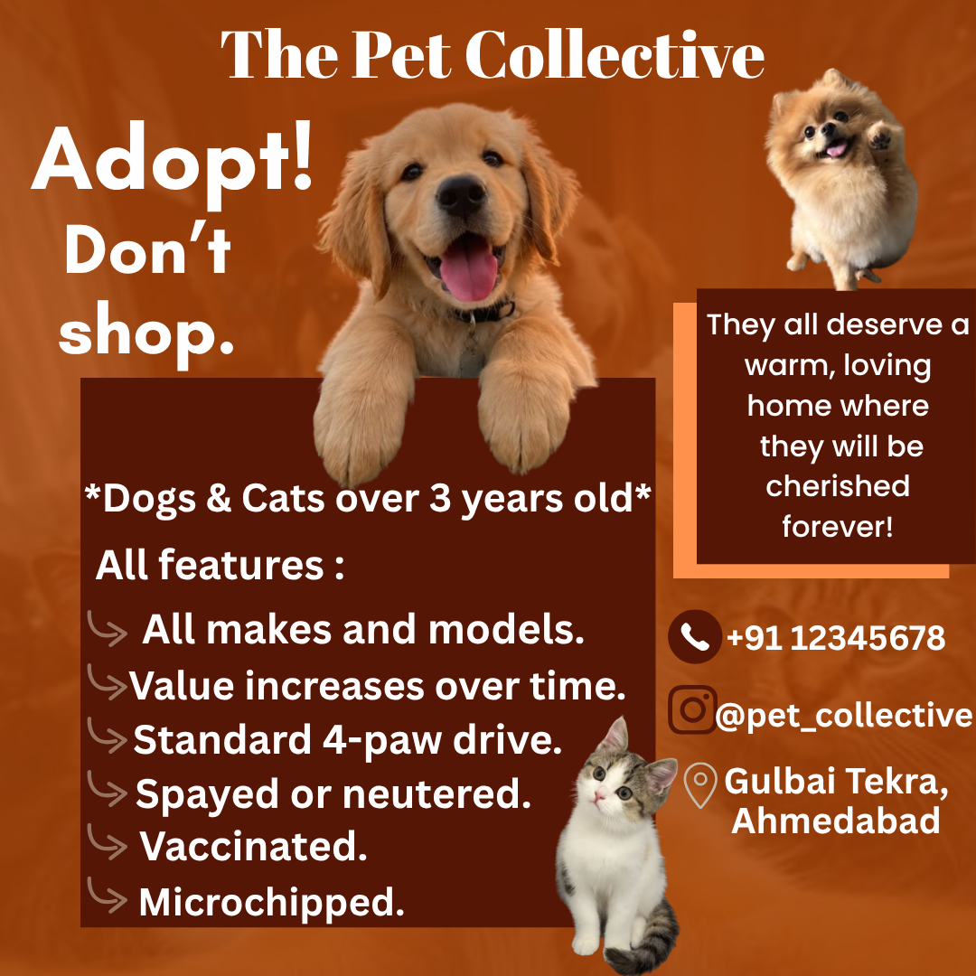 Adopt!